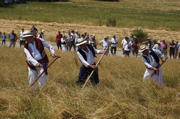 Директор ТО Љиг подсетио је да је 1970. године организована прва косидба на Рајцу када је уведено такмичење, са пропозицијама у циљу да се сачува вештина косидбе и успомену на тај важан посао. - Sputnik Србија