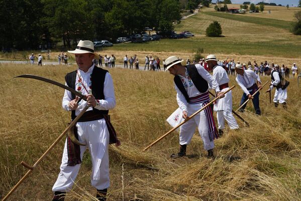 Ивановић је подсетио да је Косидба на Рајцу настала на великом народном вашару, који се организовао од 1892. године. - Sputnik Србија