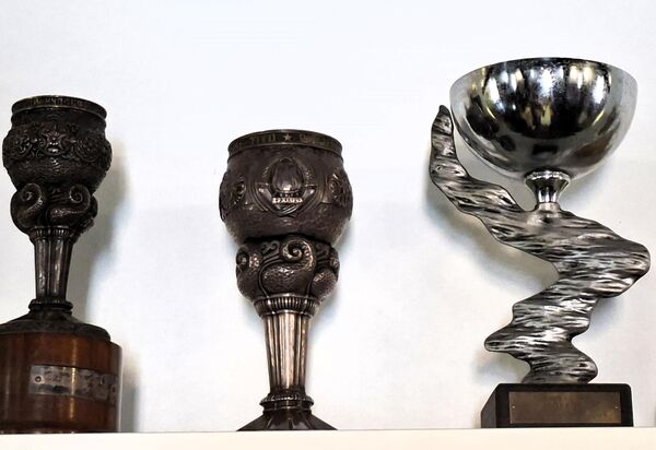  У колекцији „Љубичева” има више од 300 пехара, међу којима су пехари Дербија, Трке председника републике, а касније краља Александра, Трке града Београда…Међу њима се посебно истиче сребрни прелазни Пехар маршала Тита(у средини). Ергела „Љубичево” га је освојила на последној трци која се трчала, тако да је пехар трајно остао у њиховом власништву - Sputnik Србија