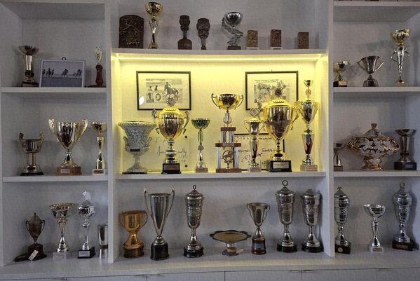 Бројни пехари изложени у Трофејној сали сведоче о успесима и победама расних грла, потеклих из ове ергеле, која су побеђивала у највећим тракама на Београдском хиподрому, али и на осталим тркалиштима у Србији па и у иностранству - Sputnik Србија