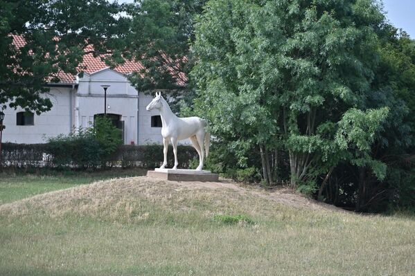 Споменик Љубичевцу. Један од најславнијих коња Ергеле, енглески пунокрвњак Љубичевац,  1974. године је освојио  трипл круну( победу у све три класне трке).Двадесет година после њега ни једно грло из ове ергеле није постигло такав успех. У славу и сећање на његове многобројне успехе и трофеје добио је споменик који се налази испред управне зграде. - Sputnik Србија