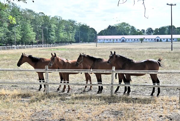 После смрти кнеза Милоша 1860. године, бригу о ергели преузео је његов син Михаило и 1886. године овом поседу дао име „Љубичево“ по својој мајци кнегињи Љубици. Као велики и пасионирани љубитељ коња, кнез Михајло је  увидевши значај коњарства у земљи, Државној Ергели поклонио 30 коњских грла.  - Sputnik Србија