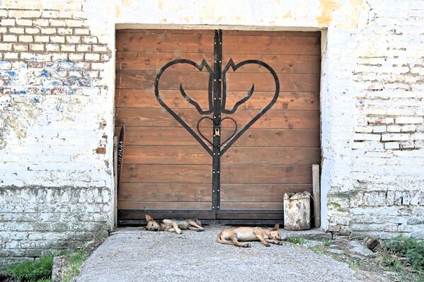 Два ушата чувара испред врата Мањежа. Мањеж или манеж је вежбалиште за коњичке спортове, јахалиште, место или просторија у којој се кроте и дресирају млади коњи, односно учи се јахање. - Sputnik Србија