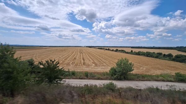 Русија и даље на првом месту у свету по извозу пшенице
