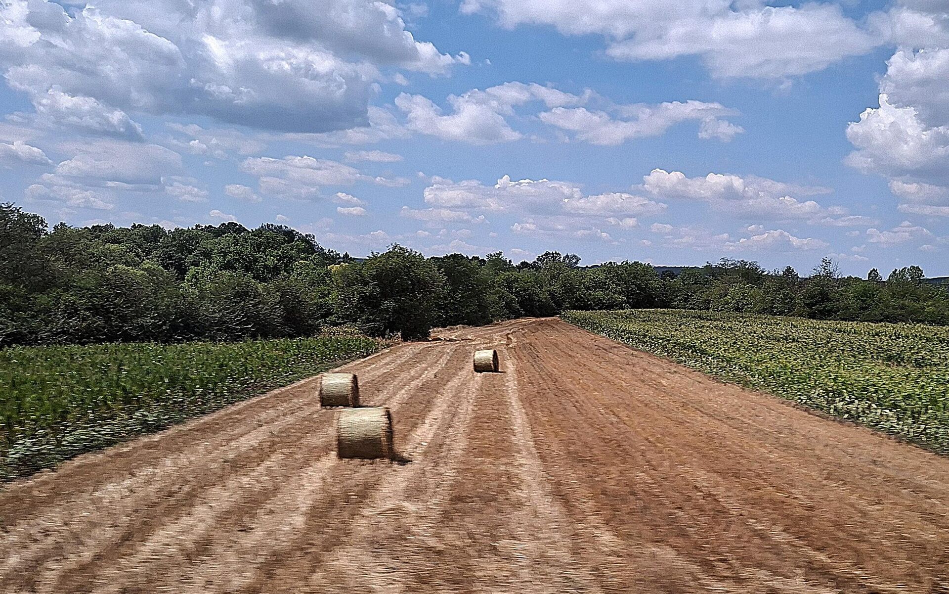 Бале сена на пољима источне Србије  - Sputnik Србија, 1920, 28.02.2026