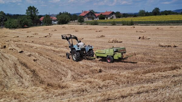 Због америчких пројектила на Блиском истоку – цена хране лети у небо /видео/