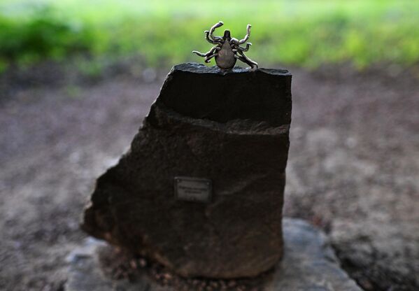 Споменик крпељу у престоници Башкирије - Sputnik Србија