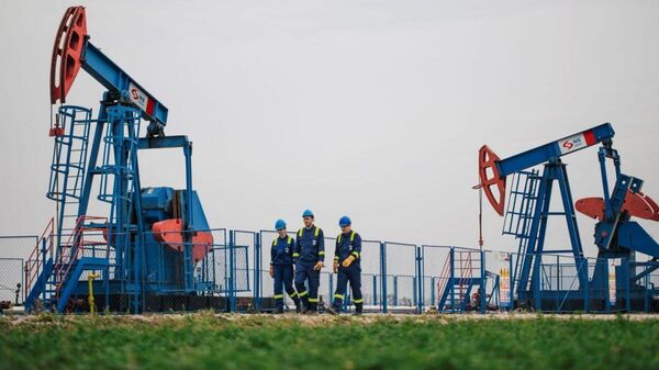 NIS bušotina - Sputnik Srbija