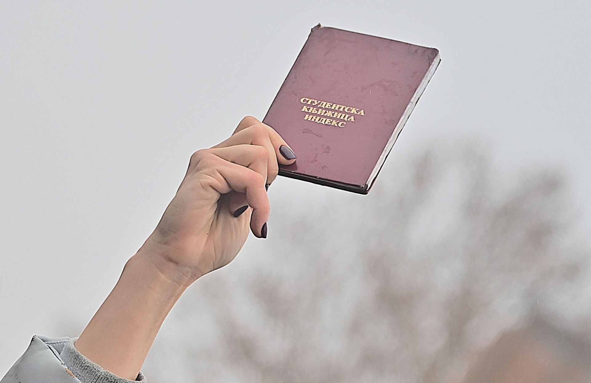 Рука држи  студентски индекс   - Sputnik Србија, 1920, 14.08.2025