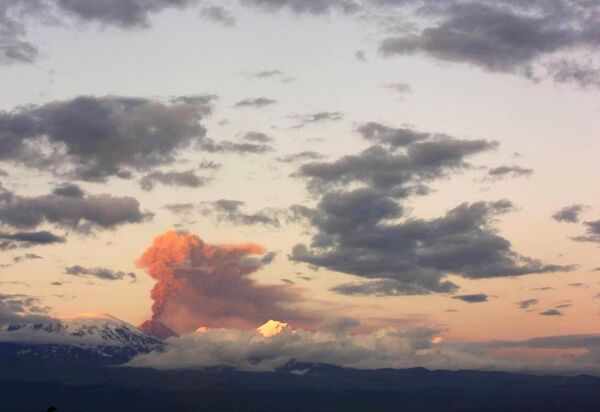 Vulkan Krašenjinikov je počeo da eruptira ujutru 3. avgusta. Vulkan Krašenjinikov je počeo da eruptira ujutru 3. avgusta. - Sputnik Srbija