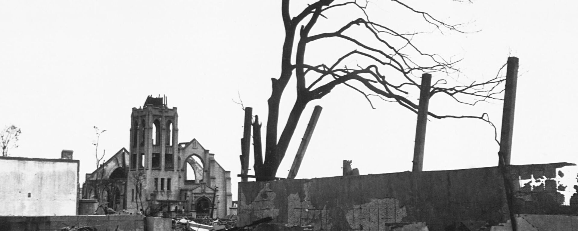 Дерево, лишенное листьев, стоит среди обломков и руин зданий после атомного взрыва в Хиросиме - Sputnik Србија, 1920, 06.08.2025