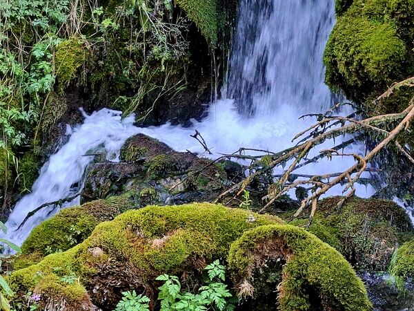 Температура воде је константна током целе године и креће се између 9 и 11 °Ц. Од самог изворишта, вода најпре тече према северу у дужини од 130 метара, затим скреће ка западу и након укупно 435 метара улива се у Крупајску реку. - Sputnik Србија