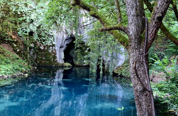 Према легенди унутар пећини живи водени дух, по имену Тартор, задужен за чување злата које су „прогутале“ Хомољске планине, и које се сада налази у Златној пећини, смештеној на самом дну врела. - Sputnik Србија