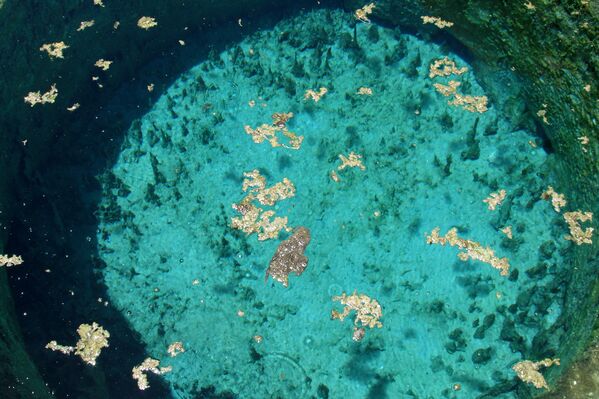 Клеопатраин базен (Клеопатрино купатило или Клеопатраин извор) један је од многих у том подручју и налази се на стази која води до храма Пророчишта. - Sputnik Србија