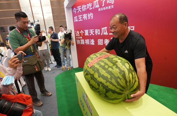 Огромна лубеница тешка 88,95 килограма коју је засадио узгајивач диња  која је освојила титулу „Краља лубеница“ на 36. фестивалу лубеница у Пекингу, Даксинг.  - Sputnik Србија