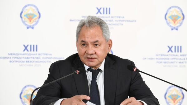 Секретар Савета безбедности Русије Сергеј Шојгу - Sputnik Србија