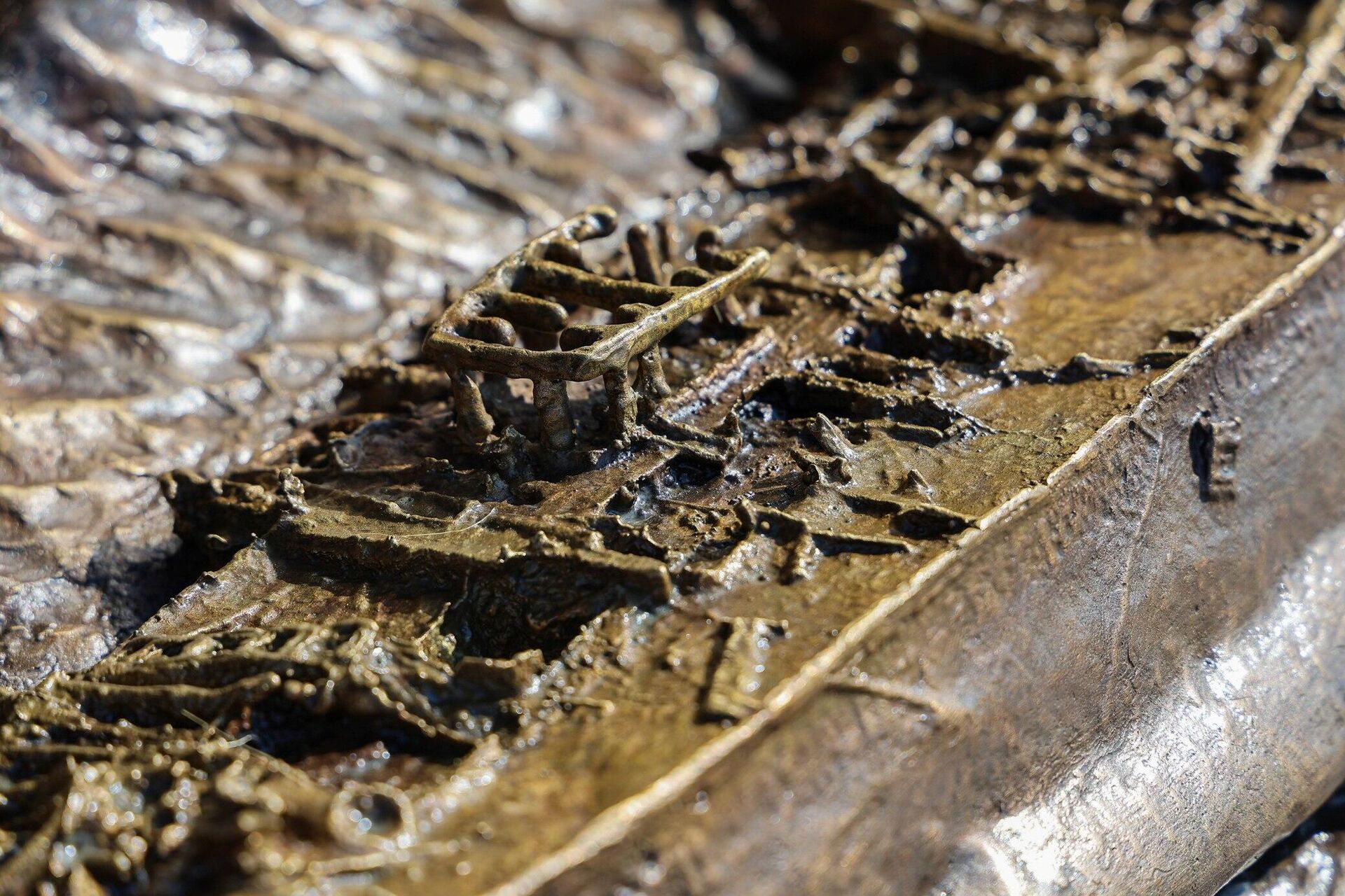 Директор Канцеларије за јавну и културну дипломатију Владе Републике Србије Арно Гујон открио је споменик Милунки Савић и српским официрима - Sputnik Србија, 1920, 11.08.2025