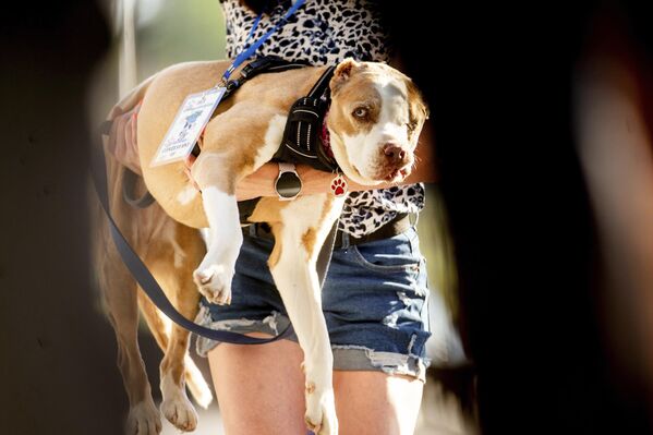 Петунија и њена власница, Шенон Најман, отишле су  кући са 5.000 долара и правом да се хвале титулом. - Sputnik Србија