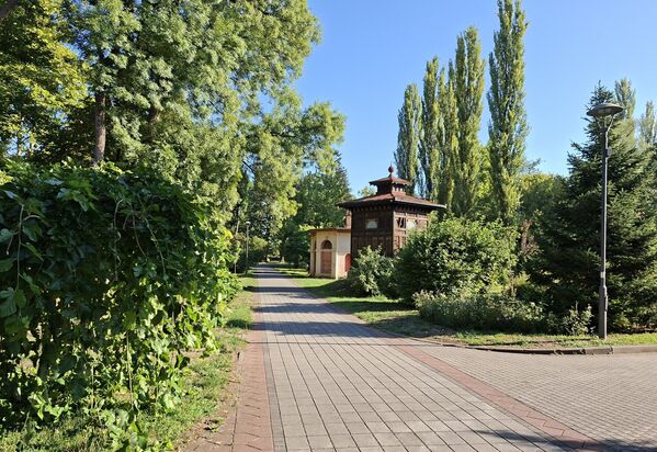 И беше - како краљ рече. Испод шумовитих обронака никоше нове бањски и приватни објекти у којима су се бањала господа, лечила сиротиња, али и чланови краљевских породица - Обреновића и Карађорђевића.  - Sputnik Србија