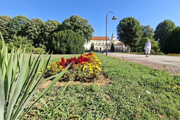 Парк са преко осамдесет врста дрвеће, прекрасни цветни аранжмани, предратне виле и раскошна здања, посетиоца одвлаче из садашњости у неки давно заборављни свет прошлости, те стога не чуди када се каже да Подрињска лепотица подједнако лечи и душу и тело. - Sputnik Србија