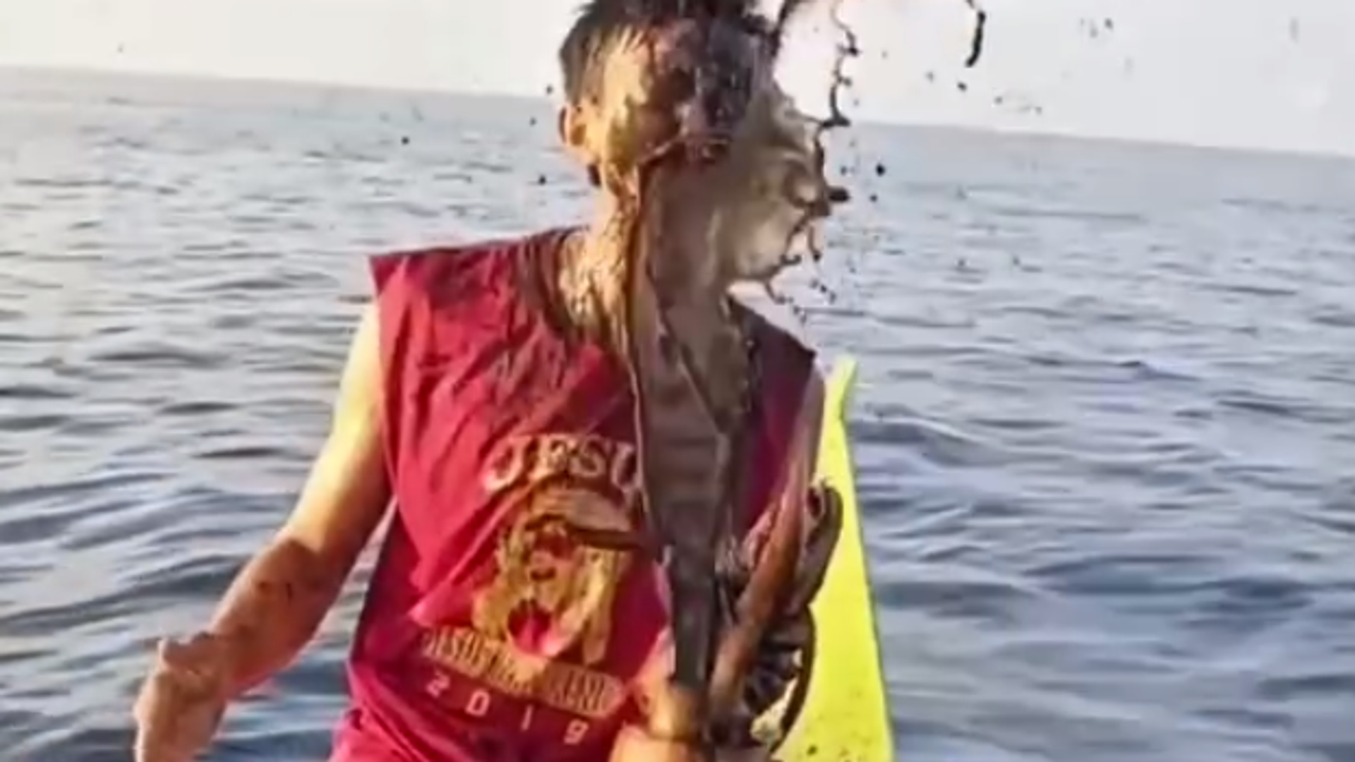 Сипа избацила огроман млаз мастила на рибара који ју је уловио Сипа избацила огроман млаз мастила на рибара који ју је уловио - Sputnik Србија, 1920, 14.08.2025