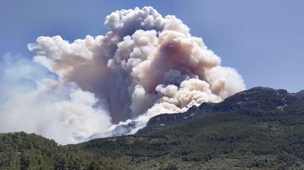 Ogromni šumski požari na planinama u Šlaniji - Sputnik Srbija