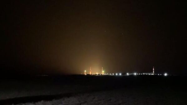 Lansiranje miševa i voćnih mušica u svemir - Sputnik Srbija