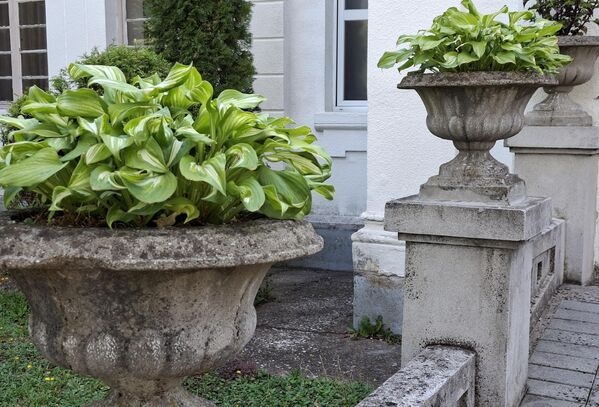 Пронађен археолошки материјал и расположиви историјски подаци указују на дуговремену историју насеља и развијену бањску функцију још у римском периоду. Лековита вода је коришћена за време Римљана и Турака. Први писани извори, из 1533. године, указују да  је народ масовно походио лековите изворе. - Sputnik Србија