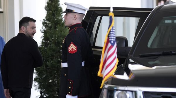 Vladimir Zelenski - Sputnik Srbija