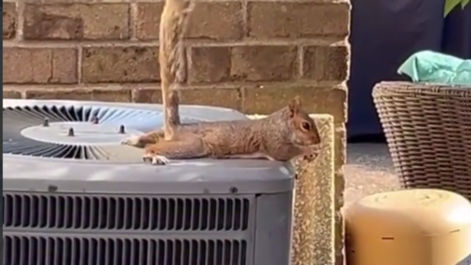 Иновативна метода расхлађивања Иновативна метода расхлађивања - Sputnik Србија, 1920, 29.08.2025