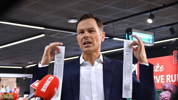 Синиша Мали - Sputnik Србија