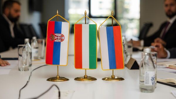 Sastanak predstavnika Srbije, Mađarske i Rusije oko naftovoda - Sputnik Srbija