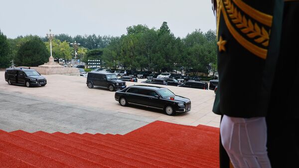 Vladimir Putin stiže na sastanak sa kineksim predsednikom Si Đinpingom - Sputnik Srbija