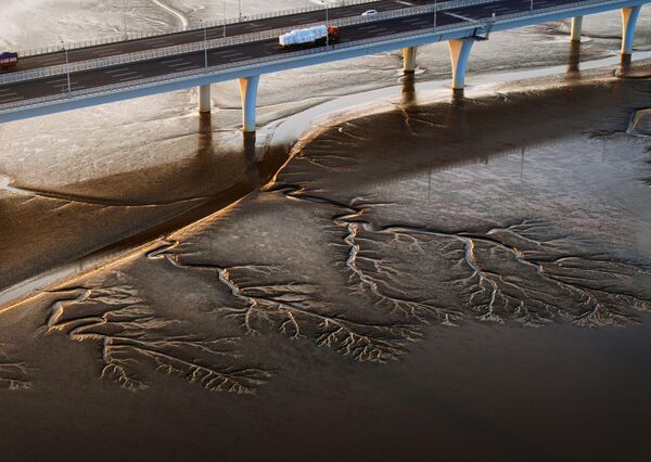 Поглед из ваздуха на обрасце у облику дрвећа који се појављују на речном кориту реке Цјантанг 14. априла 2025. у Ђасингу, провинција Џеђијанг - Sputnik Србија