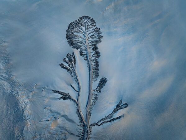 Поглед из ваздуха на обрасце у облику дрвећа који се појављују на речном кориту реке Цјантанг 15. априла 2025. у Ђасингу, провинција Џеђијанг - Sputnik Србија