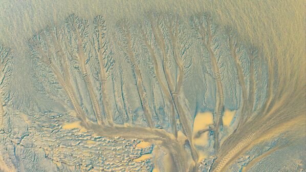 Призор „воденог дрвета“ које се појављује након опадања водостаја на ушћу реке Цјантанг у граду Хаининг, провинција Џеђанг, Кина - Sputnik Србија