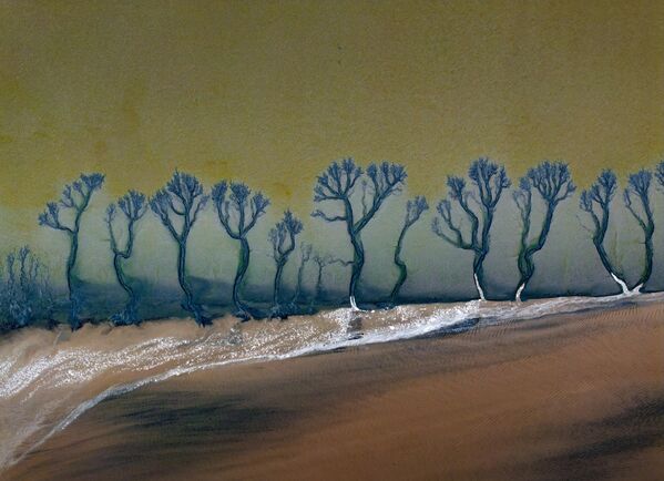 Обрасци у облику дрвећа који се појављују на речном кориту реке Цјантанг у Ђасингу, провинција Џеђијанг - Sputnik Србија