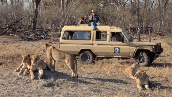 Сафари са лавовима - Sputnik Србија