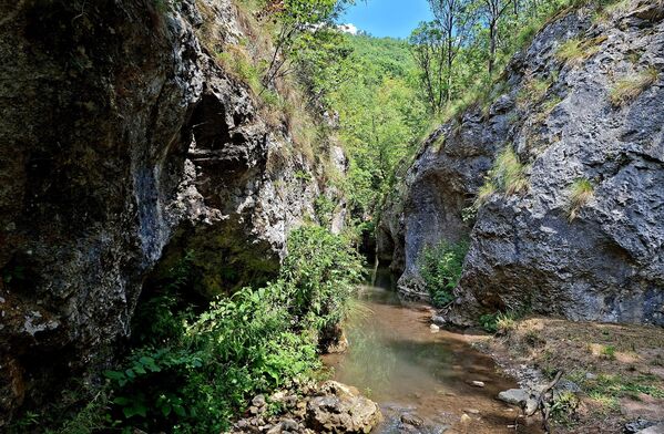 Samo ime Vitovnica potiče od pojma vitlo, vrste vodeničnih kola ili rečnih vitla koja su služila za mlevenje i ispiranje rude. Prema predanju, u neposrednoj blizini manastira nalazila su se rudarska okna, a vitovnička reka je pokretala mnoge vitlove i na njima čekiće za kovanje poluga. - Sputnik Srbija
