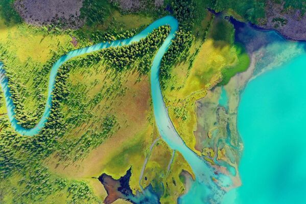 Специјална награда „Природни уметнички објекат“ Аутор: Павел Ившин Специјална награда „Природни уметнички објекат“ Аутор: Павел Ившин - Sputnik Србија