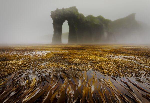 „Пејзаж“ острва Симушир Аутор: Александар Лаврентјев „Пејзаж“ острва Симушир Аутор: Александар Лаврентјев - Sputnik Србија