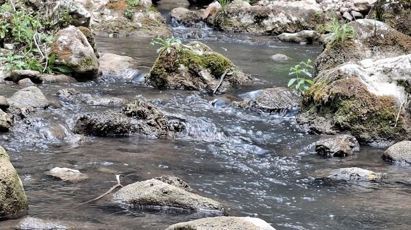Како ради једна од најстаријих фабрика воде у Србији