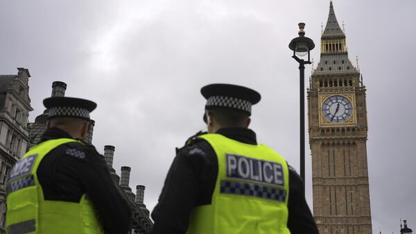 Britanska policija. - Sputnik Srbija
