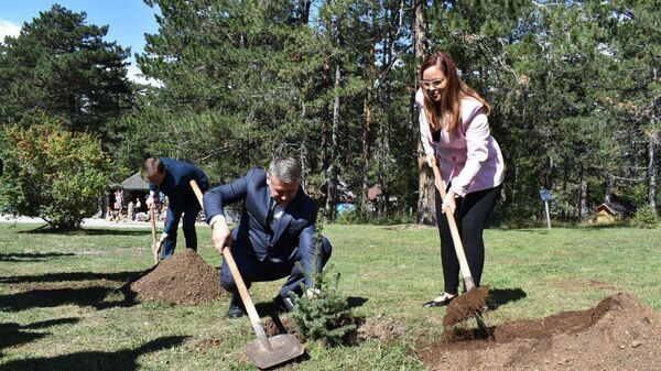 Obeleženo 150 godina od otkrića Pančićeve omorike - Sputnik Srbija