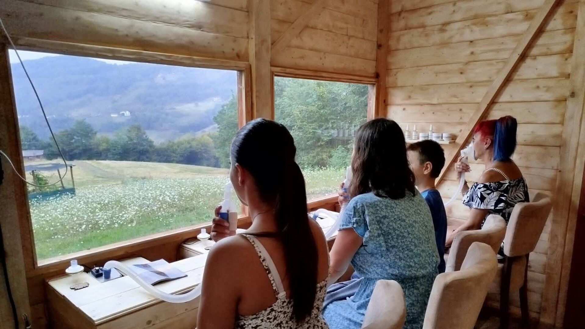 Leče pčele, ali leči i jedinstveni pogled iz Zlatanove apikomore Leče pčele, ali leči i jedinstveni pogled iz Zlatanove apikomore - Sputnik Srbija, 1920, 21.09.2025