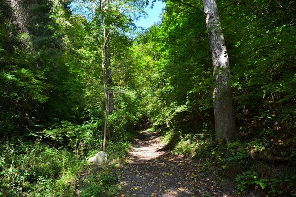 Na osmom kilometru od manastira Studenice, sa leve strane se odvaja put koji vodi do Isposnica. Do Savine &quot;kuće tišine&quot; stiže se stazom koja vodi kroz gustu šumu, u kojoj je drveće pošteđeno sekire, i gde je, po predanju prema pravilima Svetog Save, zabranjeno jesti meso. - Sputnik Srbija