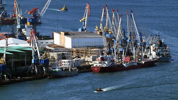 Владивосток, лука - Sputnik Србија