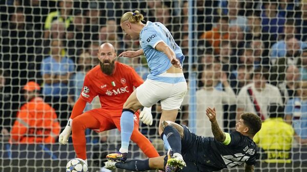 Vanja Milinković-Savić - Sputnik Srbija