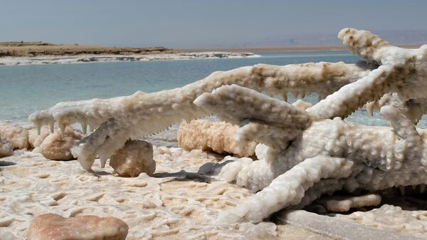 Obala Mrtvog mora - Sputnik Srbija
