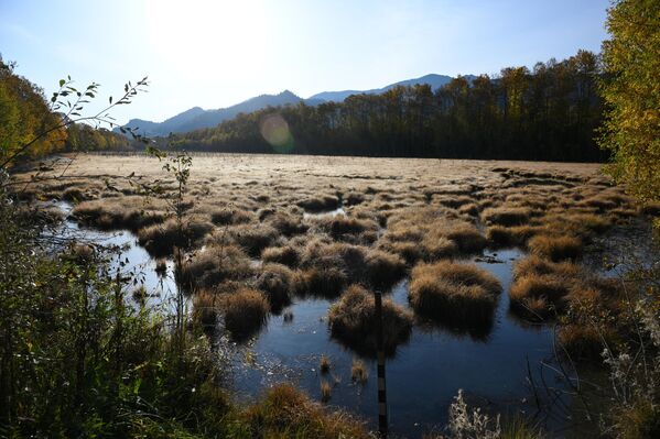Бајкалско језеро има преко 20 острва. Највеће је Олкхон. - Sputnik Србија